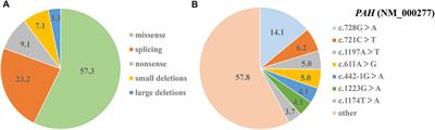 Screening and mutation analysis of phenylalanine hydroxylase deficiency in newborns from Jiangxi province